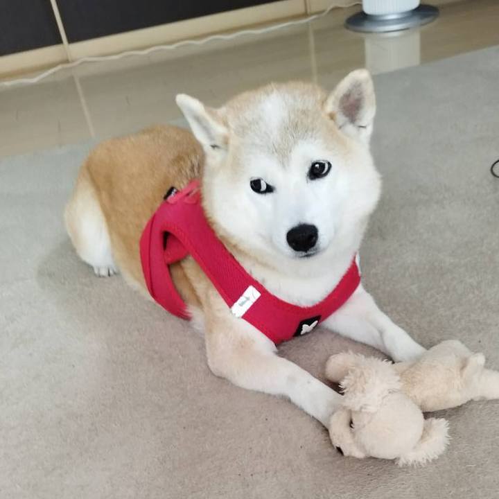 2dde8db1 d719 4ced aa3a 87e488d5ff7e 1754341343002