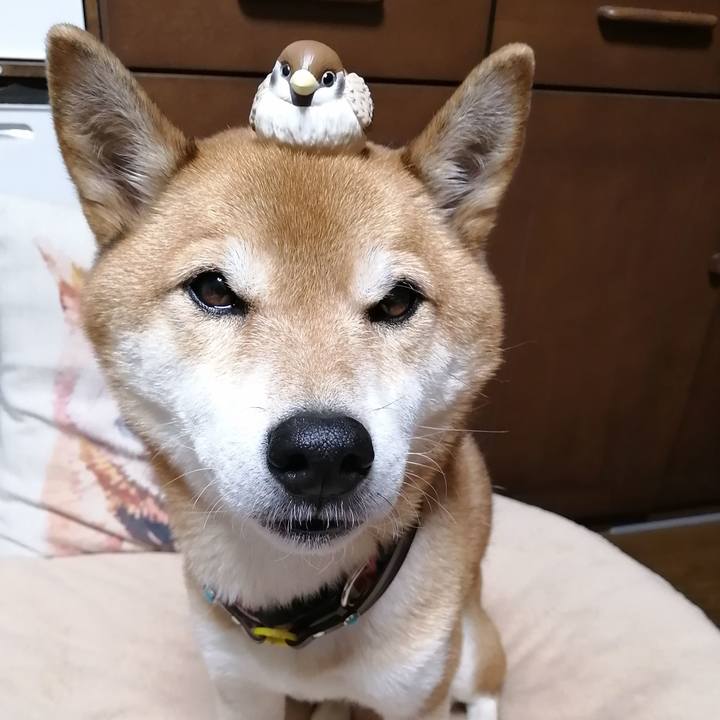 2ddeb020 1776 4df3 8892 71866598ae6c 1670584238756