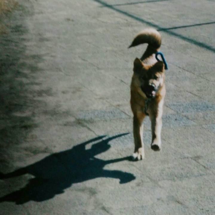 2ddecc45 10ce 4285 b80f 057066a42ba3 1565702097333