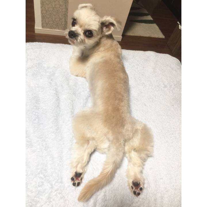 2ddefb04 509b 4a1f ac02 95d5786a028f 1537877931455