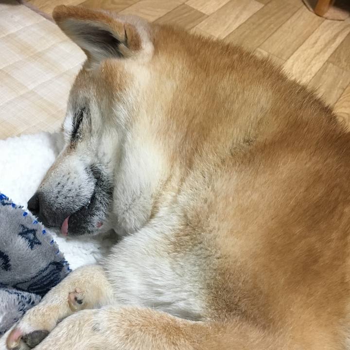 2ddf094f 673b 4c5e bae5 eef693774206 1520076474383