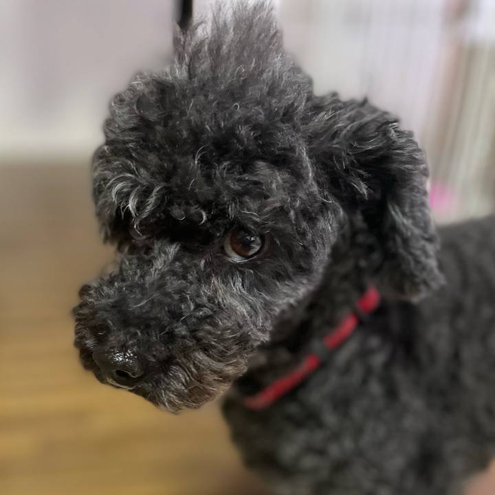 2ddf0b9b 094f 4080 a0a8 a7897a1ea375 1674976838325