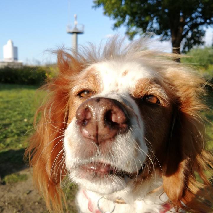 2ddf1de8 045e 435b 9b8c 0e6e7cbe4ae7 1602898303524