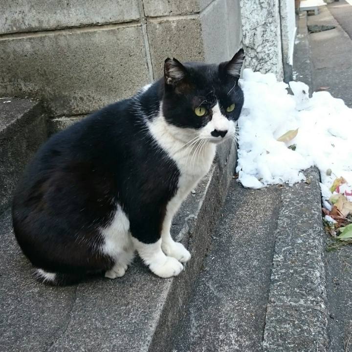 2ddf1ed4 2459 42ca a6e2 1c4f17ca02e7 1517014924574