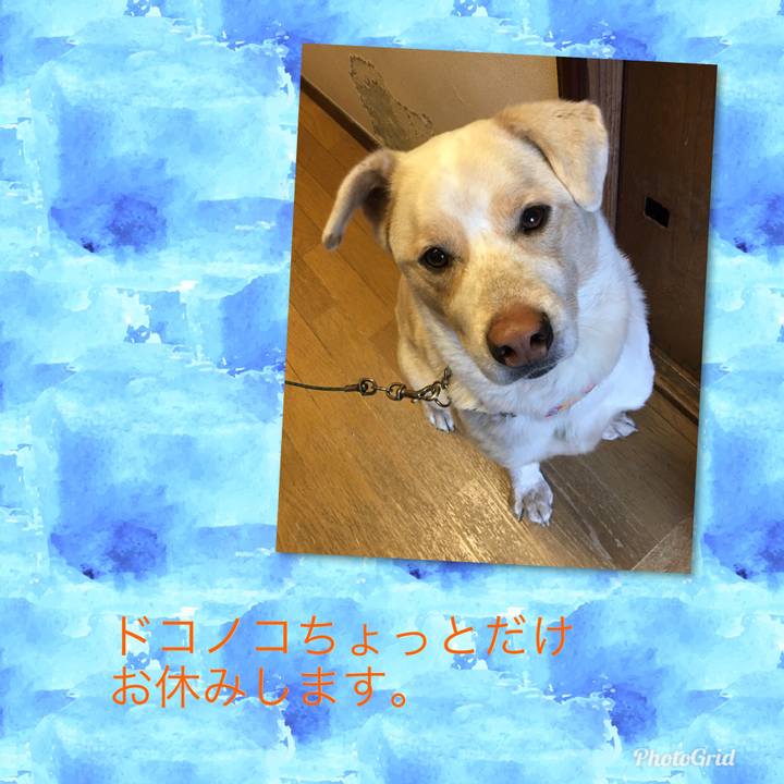 2ddf1f24 ee3c 4373 bef0 551cb676dc08 1517467977282