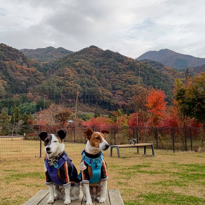 2ddf3c76 bf68 4dce a8db 5916125afc4d 1667779381767