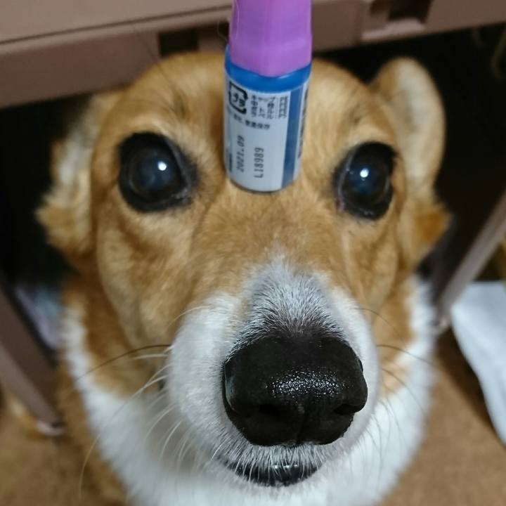 2ddf3f02 0729 4b8b 86cb bc8f8fda048f 1548773001421