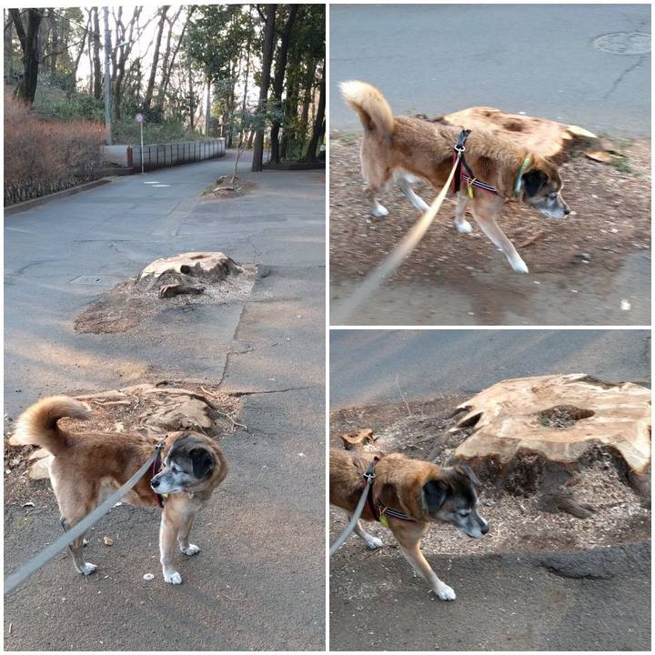 2ddf42ca cad9 4b45 bac7 10330bf6777b 1552605482332