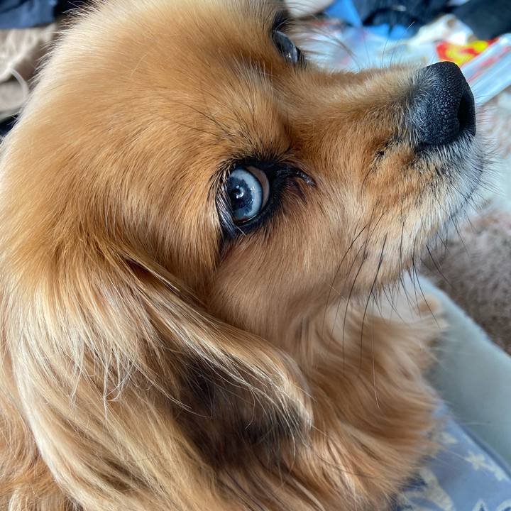 2ddf54b5 6710 4e94 a1be 8087f8ac27e1 1609289003352