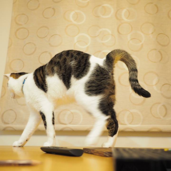 2ddf590d e315 409e 8fab b4307c77e73d 1537830675488