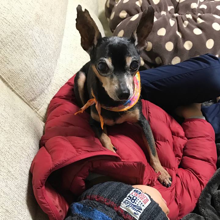 2ddf5989 4256 4477 a7aa 58a32d6b63be 1518954868557