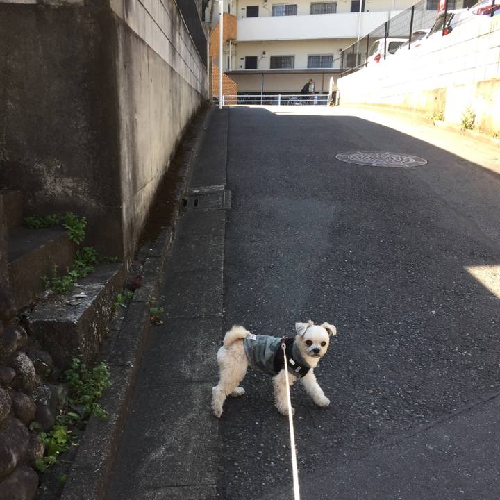 2ddf77d6 159a 49a3 b948 c44778049645 1553418722471