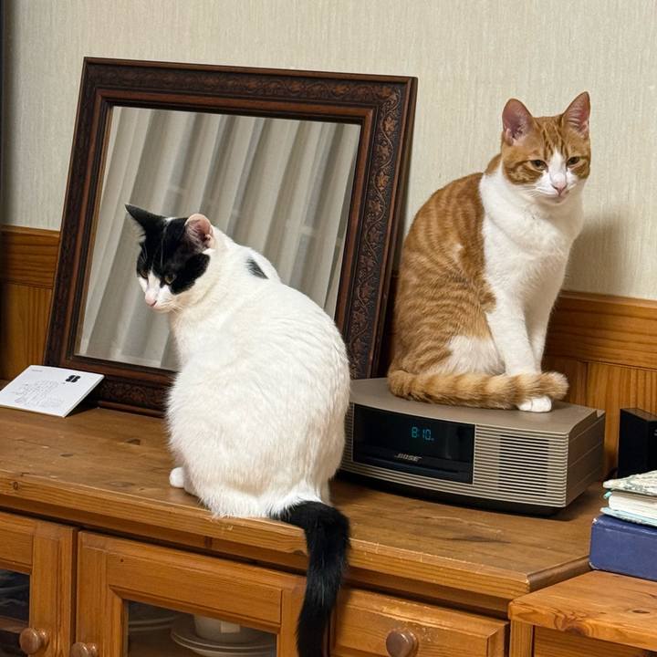 2ddfb10d ffc4 43e2 a7cd dacd30514796 1765409228475