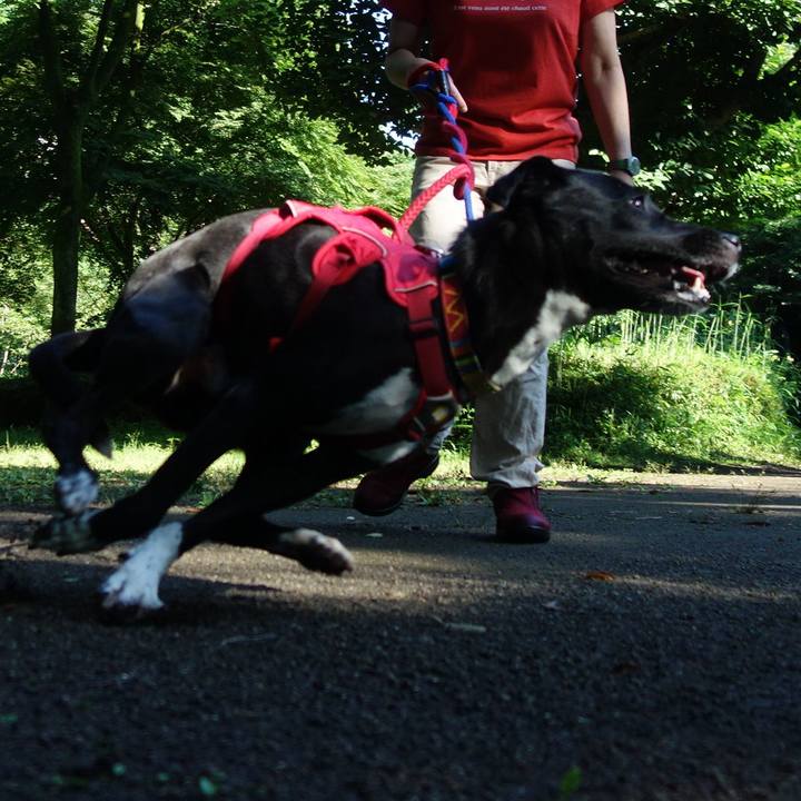 2ddfc163 9340 4452 906b 47f1f3902153 1592612405267