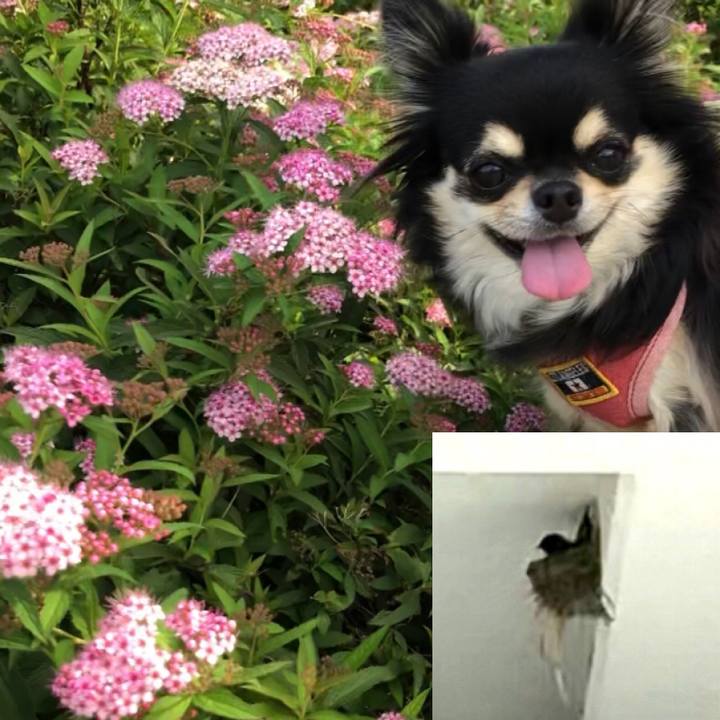 2ddfe311 eac4 4143 b1bb 4577ef4ad7dd 1593232716842