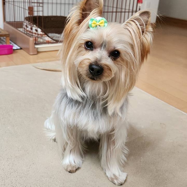 2de00c68 bc89 4ccc 858b 56db20e9b1bc 1707359153424