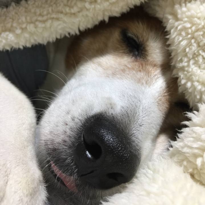 2de01509 3698 4d40 bfa6 91b4b73d1337 1524541397604