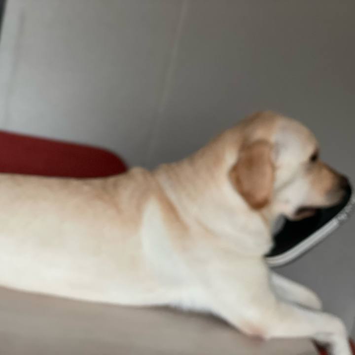 2de08187 5c18 4116 8cb8 f31b7d40e985 1662680196641