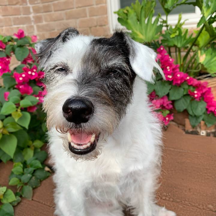 2de09e20 087e 4f43 ad21 e8865aa0c9d4 1641856460308