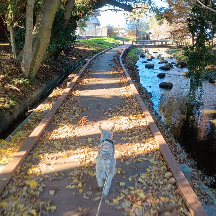 2de0be14 2c32 4835 a882 1b199b628ac3 1764425960111