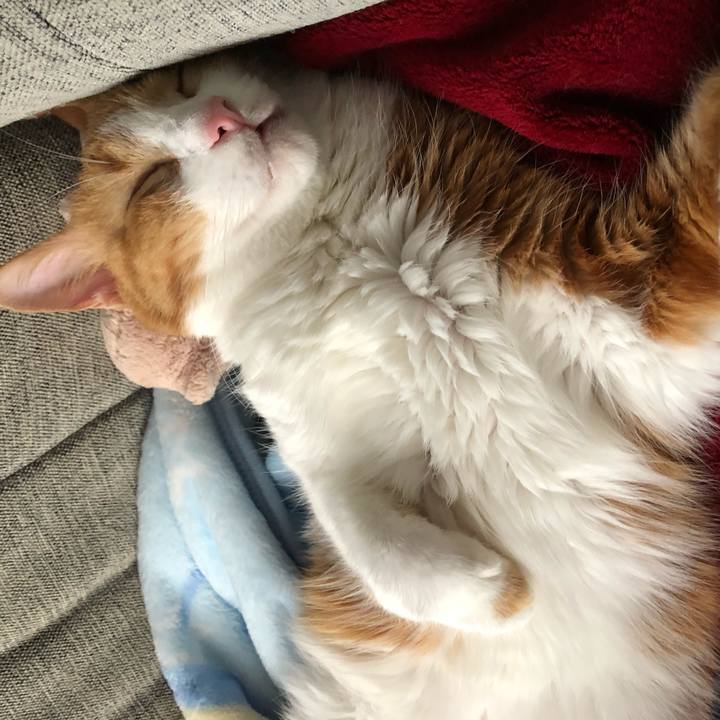 2de0e544 b813 45cc bad0 8becade6c765 1541308736262