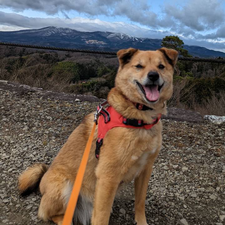 2de0fa3c 7237 45fd 92dd 633bb5d9993f 1648374215490