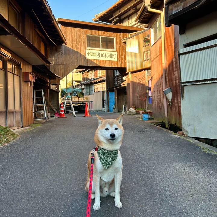 2de11020 2567 4c5c 8639 c4e4d4f89c5e 1703673719762