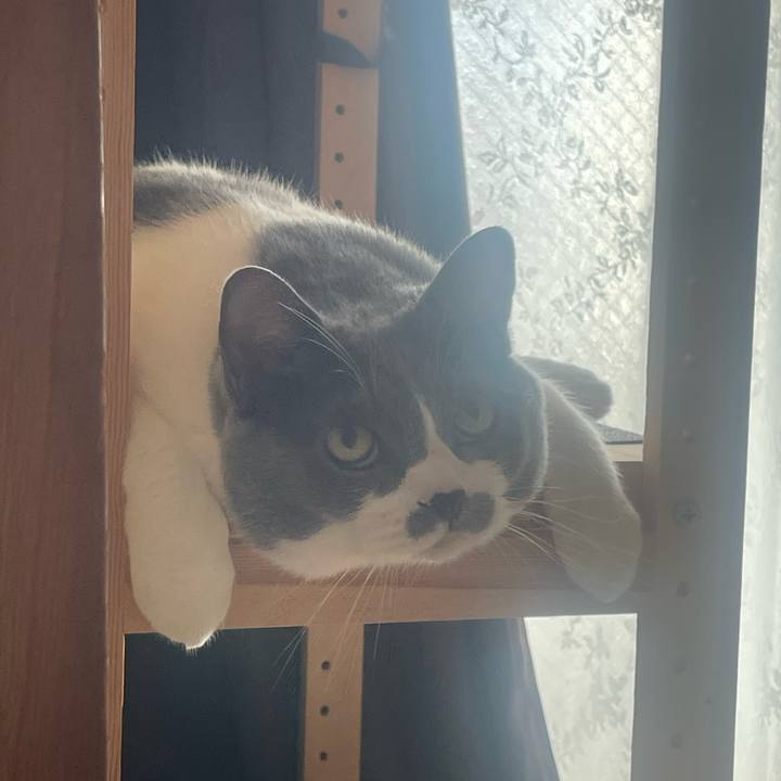 2de12637 7fcc 46a0 ad74 07b9c21e4c0a 1755210112792