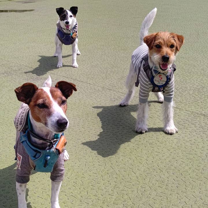 2de13a29 b3b3 40ca 94cf bfaa35029e5d 1715869279234