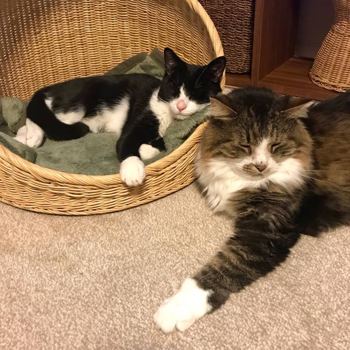 2de1503f 8e04 46e2 b80a 7c237106fc70 1512912621452