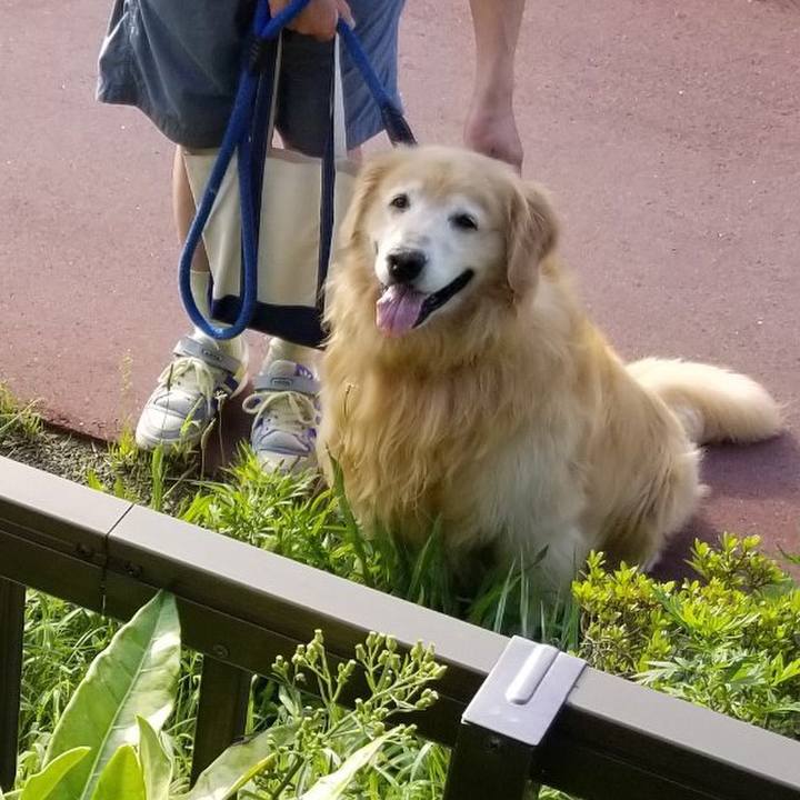 2de158b6 fe4b 4cd9 aea2 bdcbc29f0487 1536244355483