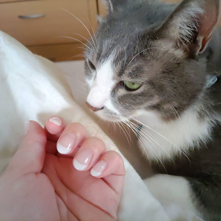 2de16d04 9886 4fd2 89df 56f025eaa38b 1692656585209