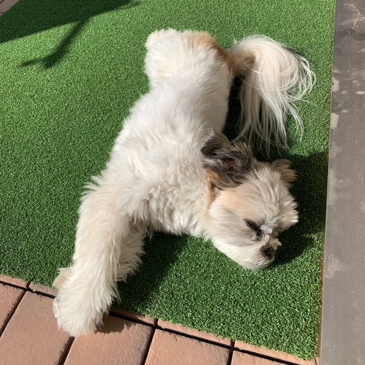 2de17c00 3b91 4e4a a7a1 b7bcda28bcda 1582245808394