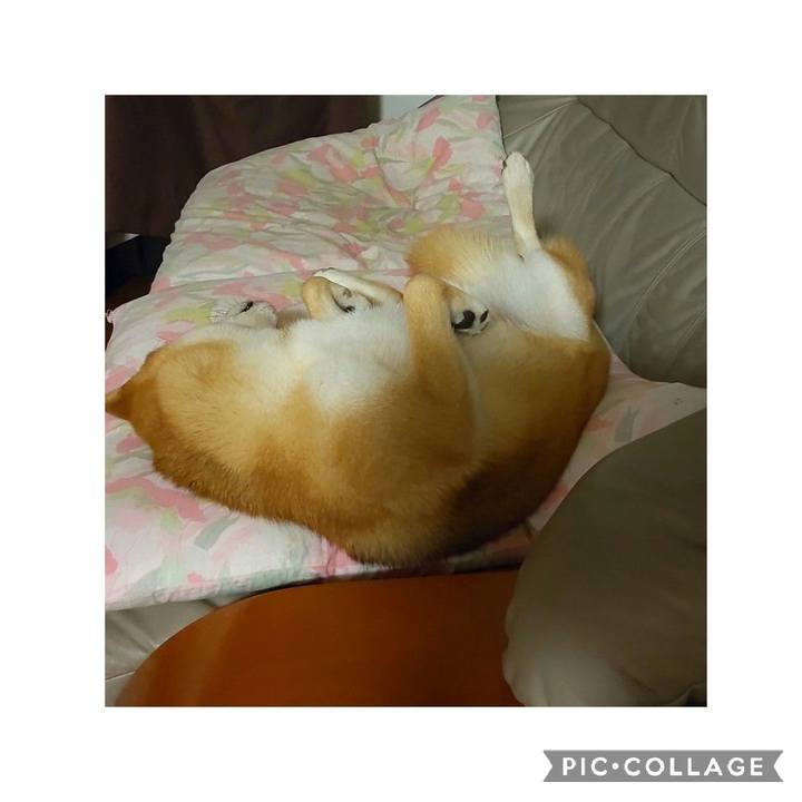 2de18cc6 60a3 4bc2 b7c4 5e071727c588 1658444069596