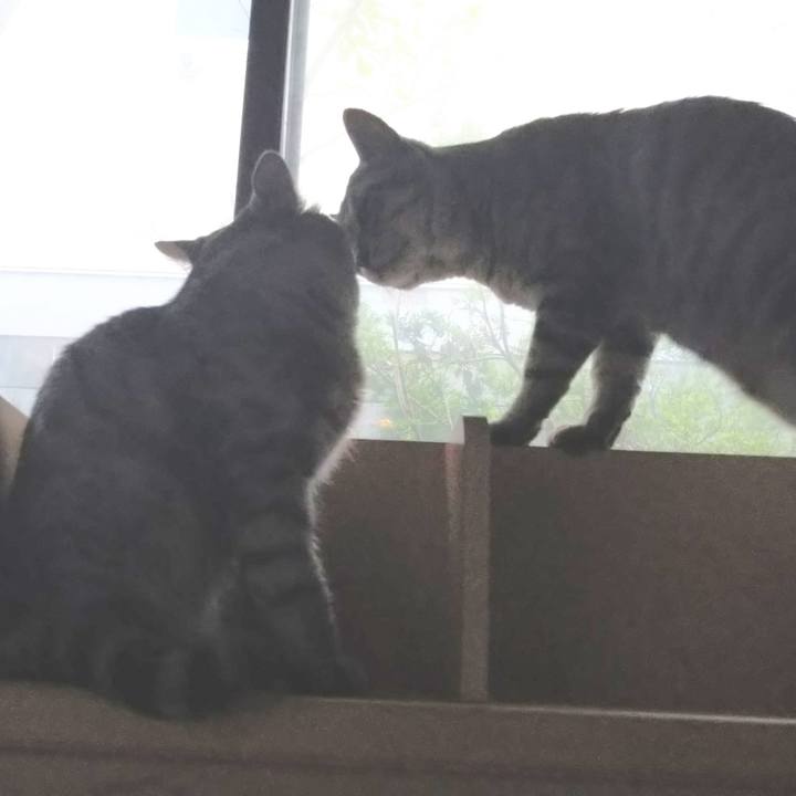 2de19817 aa6e 4db1 9f7d a4e2b5bc9b6a 1601623837314