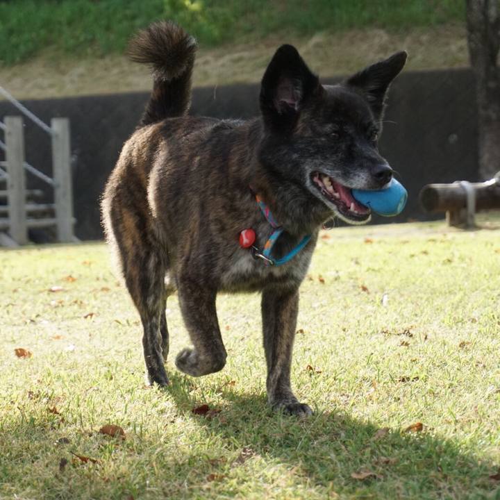 2de1a8a3 1e8c 4864 acbc 2796a8af0904 1568631611583