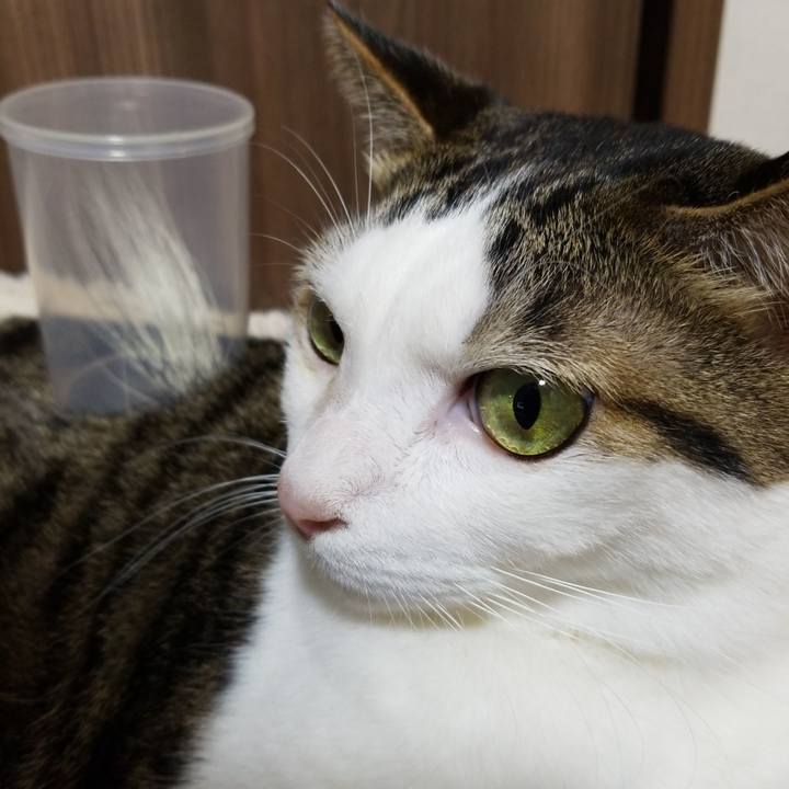 2de1bef8 46a3 499d 9be9 31d73f79a1f8 1576617662836