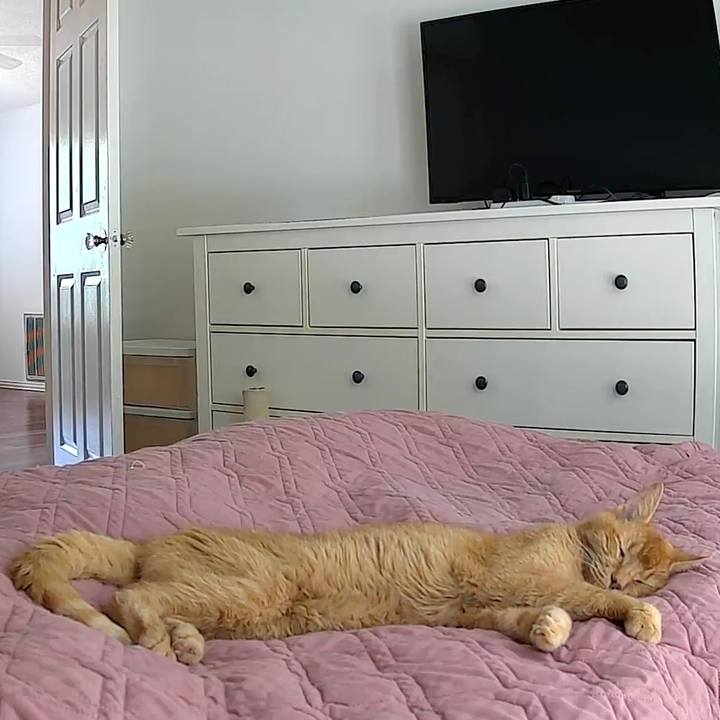 2de1c1b9 b2bf 4723 bc5f c75261c7174e 1769479974381