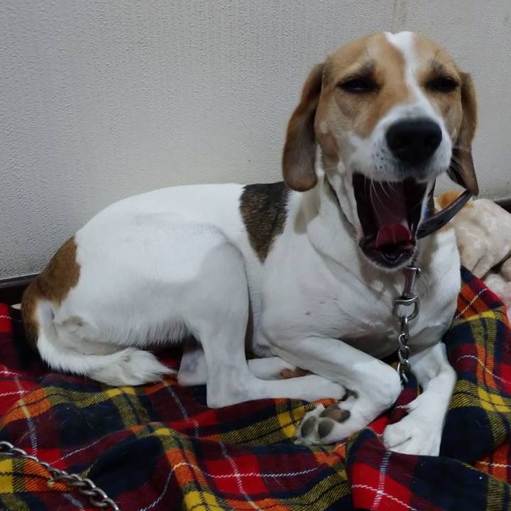 2de1cbcf 7c42 4ff7 bd88 56fcd3d542e6 1604760183581