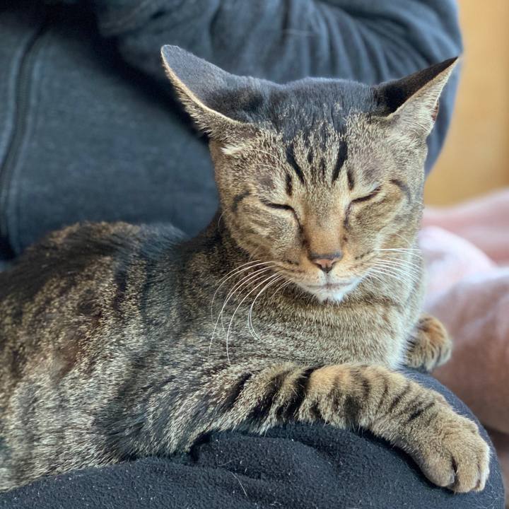 2de1eeea 8d2c 48fd 98a4 e8557b94cb44 1583718094365