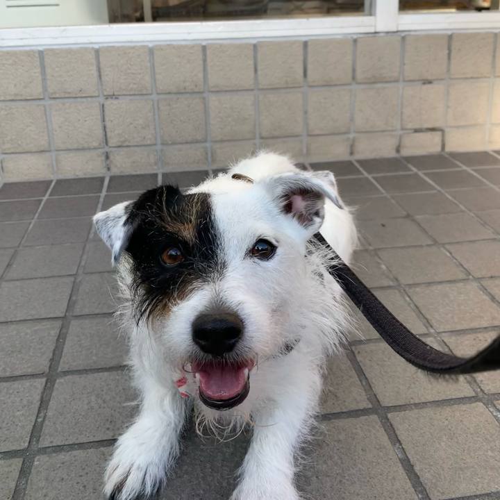 2de208c6 9f1c 4e43 bcec 9ed869ff261e 1656059543580