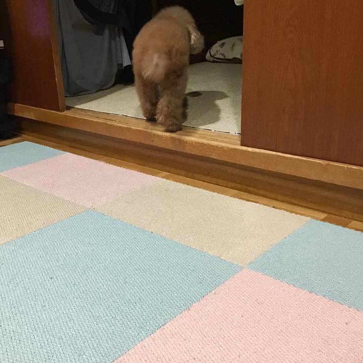 2de21c1c b961 4d96 9d21 b7ddae893f17 1517150105731