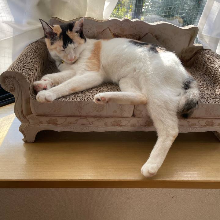 2de21ee5 9b94 4ff8 93f5 e64ff37b9da4 1675295551550