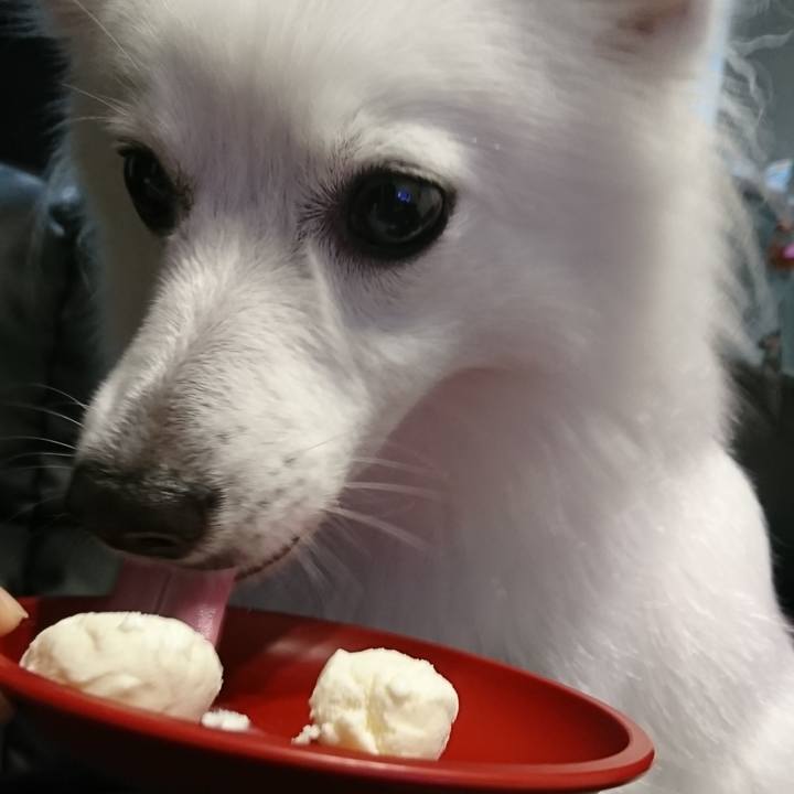 2de21f0a 9fe9 4a76 bf5e c46ee62d362e 1535462049018