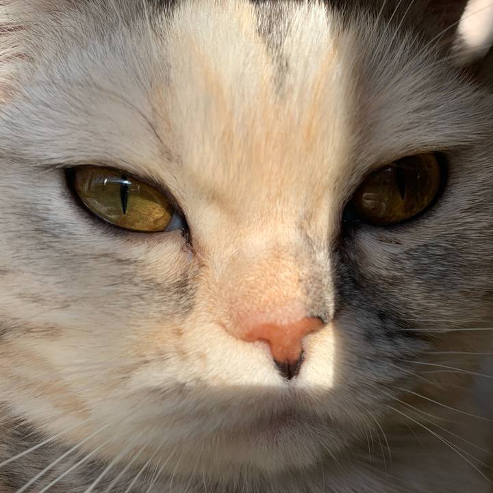 2de2774b 5a3d 4f49 84ce 3a3a7beb104e 1708212556227