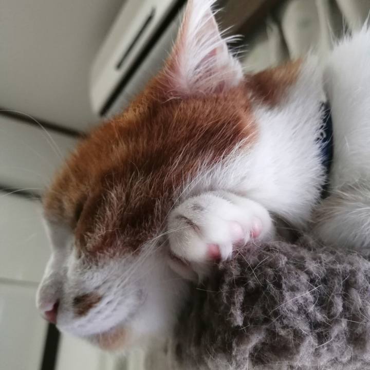 2de283b3 0118 4333 9563 f998172592a2 1625178223914