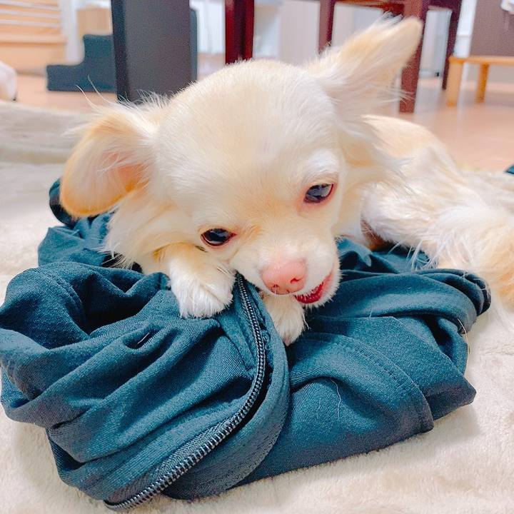 2de2a3a1 174d 4a0c bc59 8e5901b30c91 1620433100695