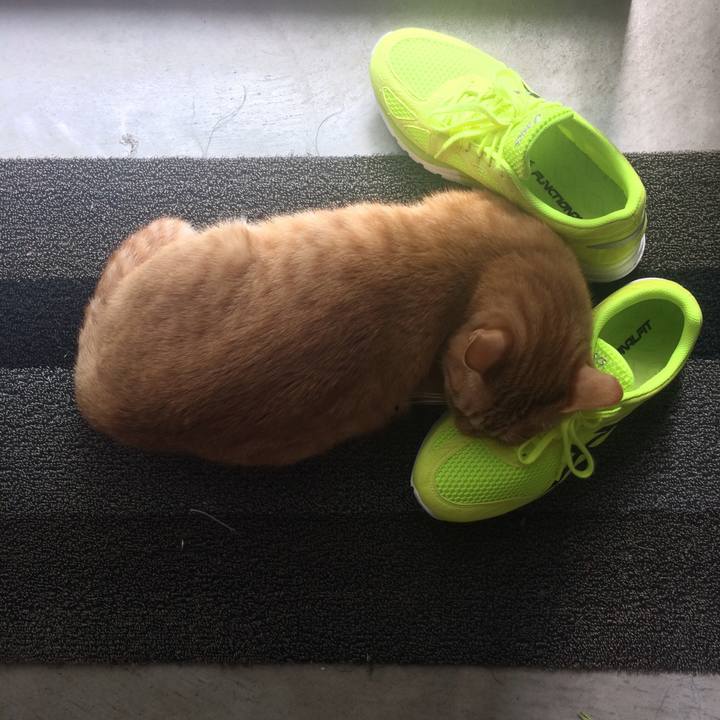 2de2a9dc cf7e 439e 8cb4 4c1427416d63 1532124928789