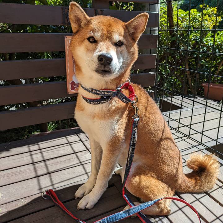 2de2edce 6e2f 43d0 8d8b 002f38b90ad6 1696572193964