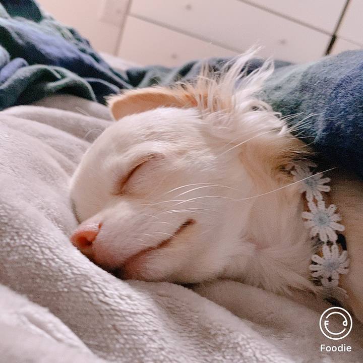 2de3140e 3549 44ab 86bc 5a89b0cca262 1605493006264